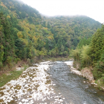 DSCN8316 - コピー.JPG